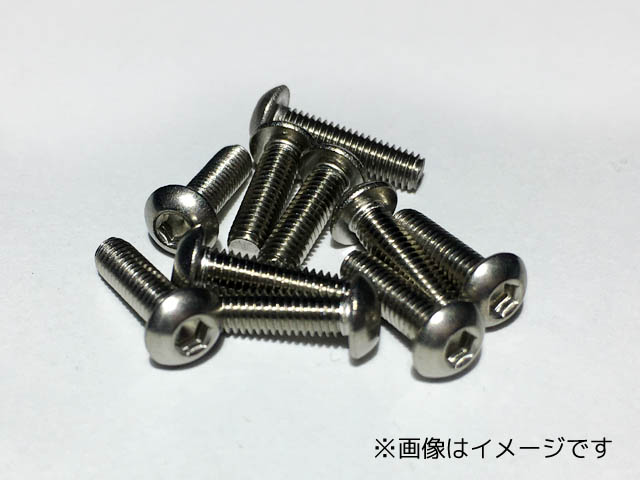 SB-0315　　ステン六角ボタンビス 3×15　10本