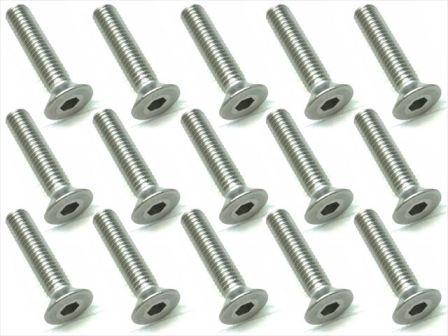 スクエア　SSR-314　　ステンレスヘックス皿ビス 3×14（15本入）