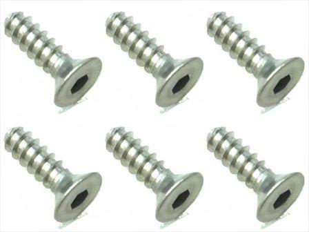 スクエア　STP-310　　チタンヘックス皿タッピングビス 3×10（6本入）