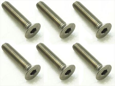 スクエア　STR-314　　チタンヘックス皿ビス 3×14（6本入）