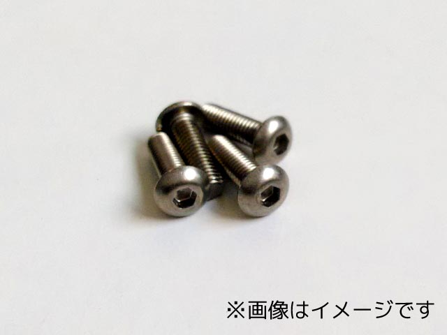 TB-0205　　チタン六角ボタンビス　2x5　4本