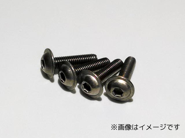 スクエア STR-310 チタンヘックス皿ビス 3×10（6本入