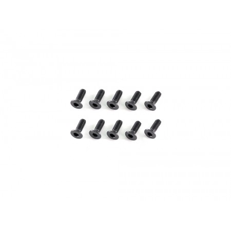 INFINITY　G107　　サラビス M2x6mm （10個）　IF15