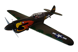 ▲(値下げ!) シーガルモデル　Curtiss P-40N Warhawk Parrot head (SEA250P)