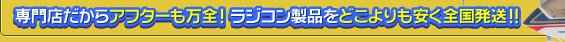 専門店だからアフターも万全！ ラジコン製品をどこよりも安く全国発送！！